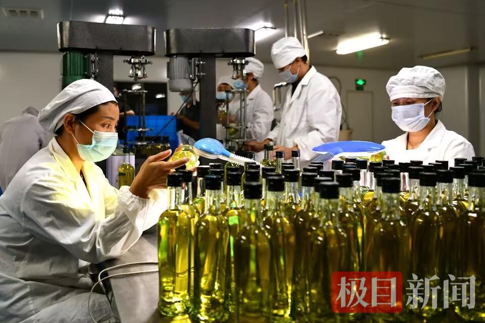 F93E5E1D4A11805599ACDD40554C7A57.jpg F93E5E1D4A11805599ACDD40554C7A57.jpg