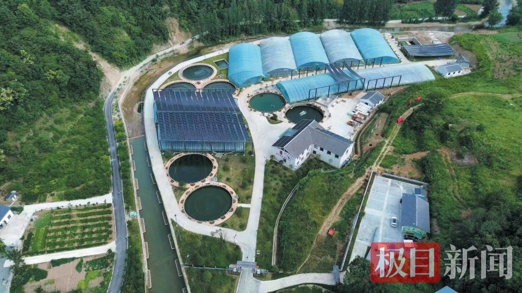 郧西县河夹镇数智渔业基地 徐军摄.png