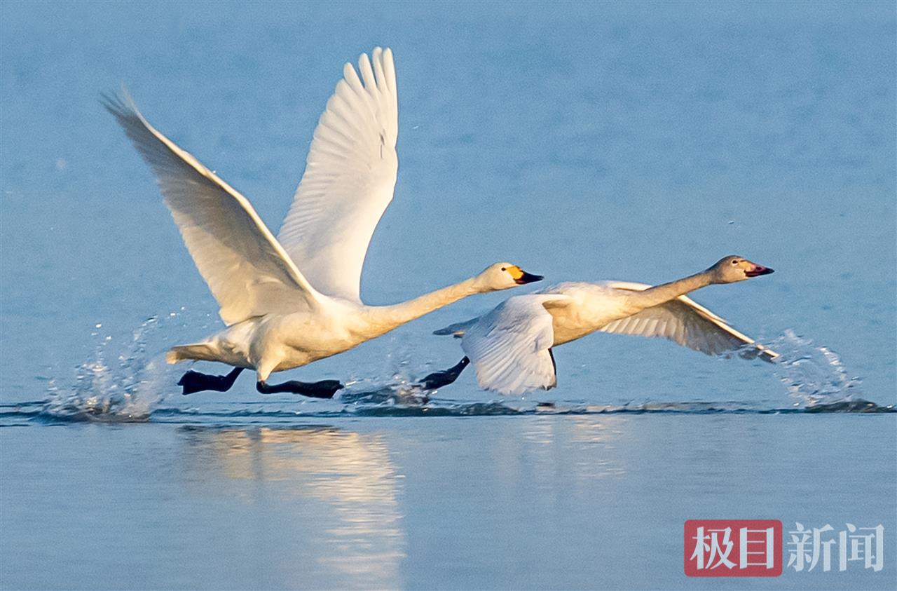 e0aa12d1efdd2cc44cca3ffa1328eb63.jpg e0aa12d1efdd2cc44cca3ffa1328eb63.jpg