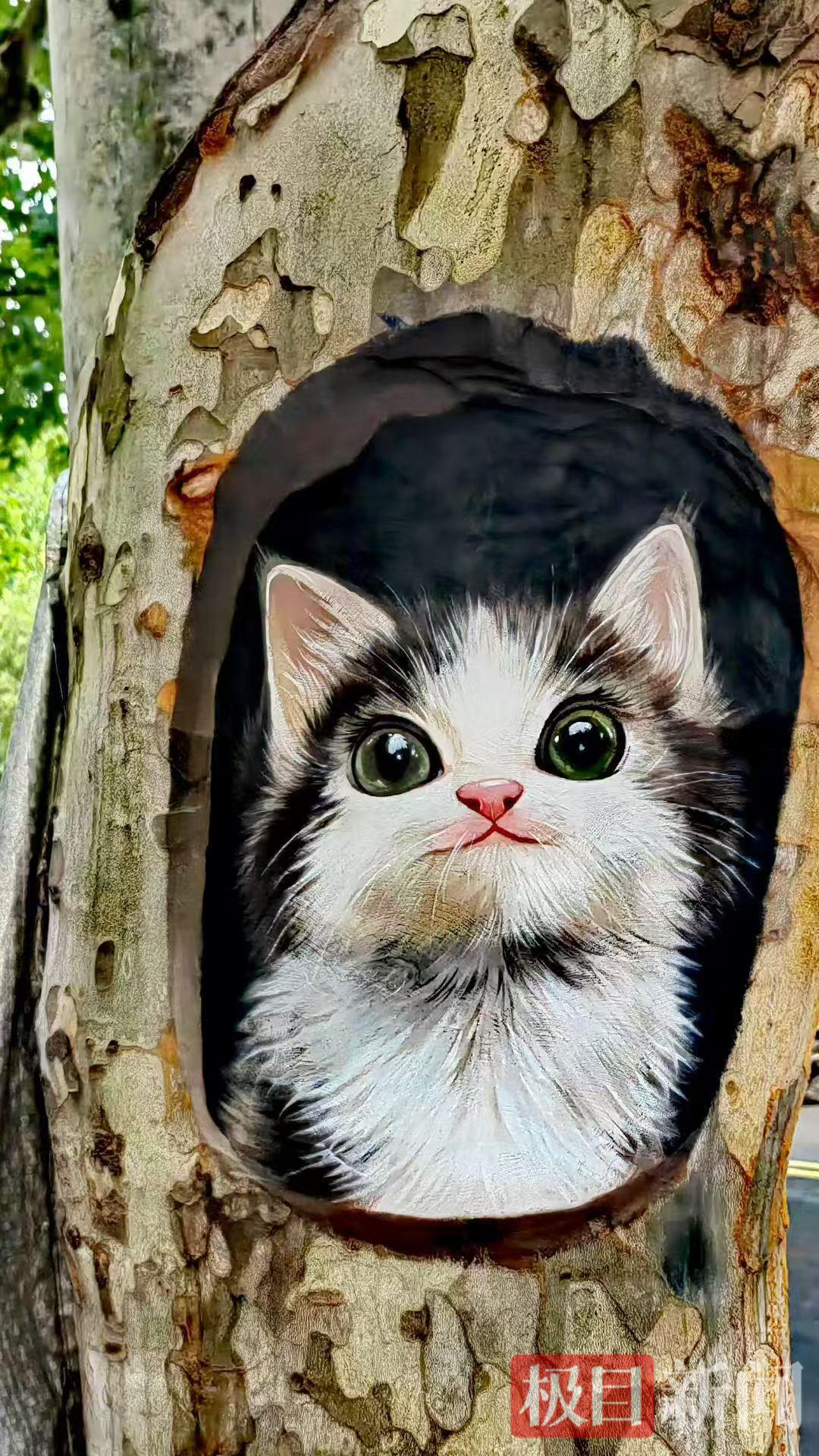 小动物1.png 小动物1.png