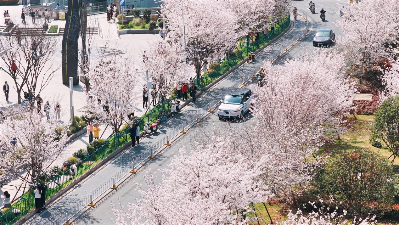 图片5.png 图片5.png