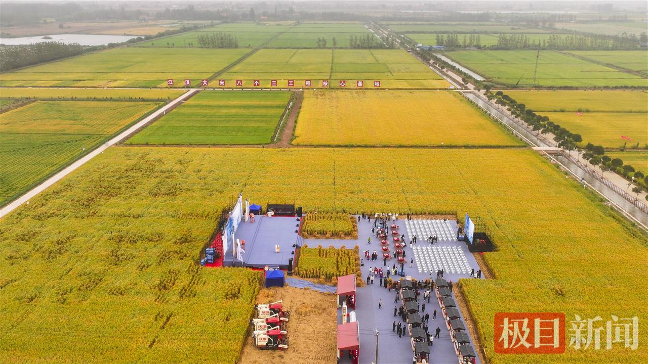 9月23日，湖北监利，水润荆楚·江米如珠，全国主流媒体走进江汉大米品牌核心地品牌推介会现场。（监利融媒记者 饶志超 摄） (2).jpg