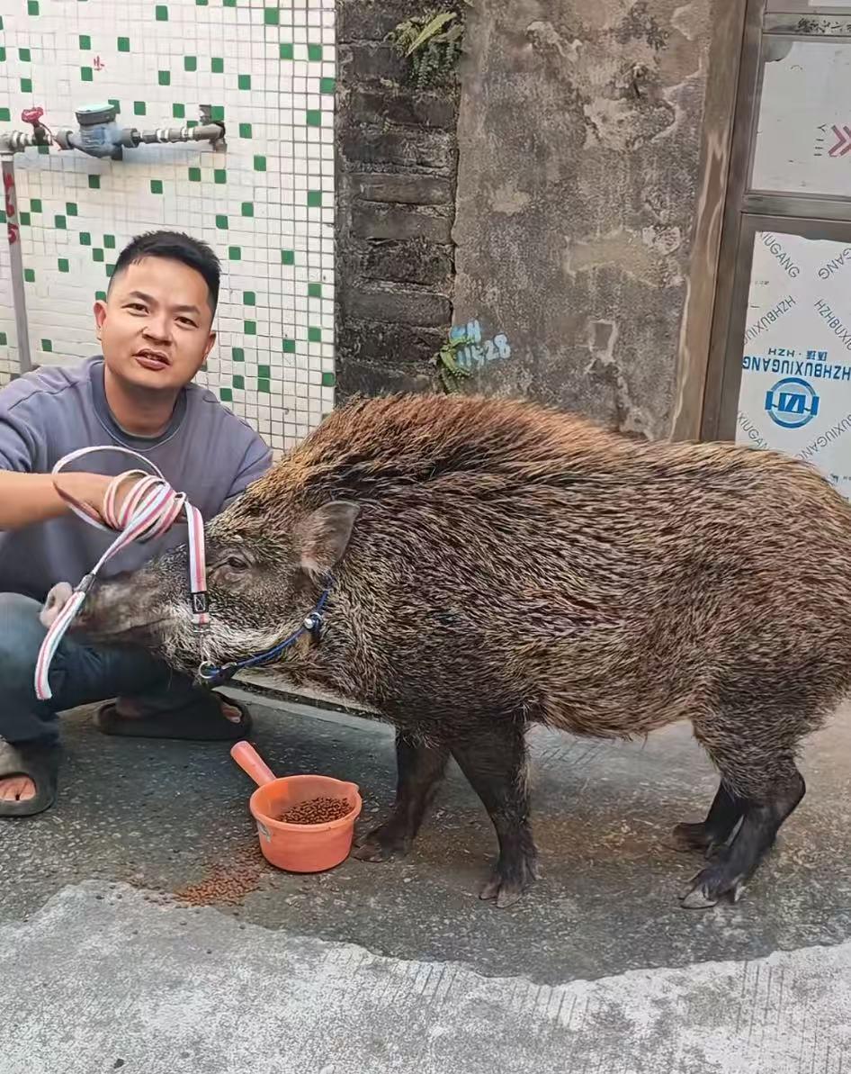 281765532646_.pic.jpg 281765532646_.pic.jpg