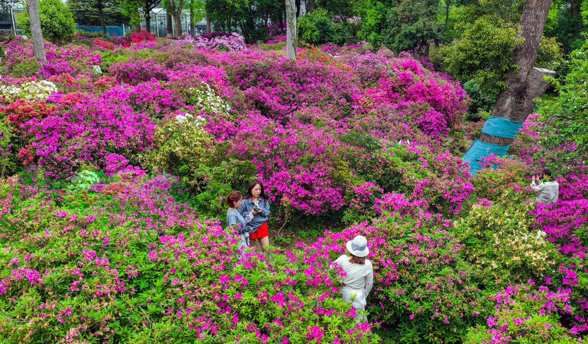 mmexport1776069638206.jpg mmexport1776069638206.jpg