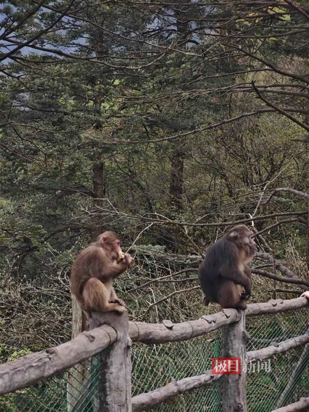 c16175beea1fdd915b42fd99ee3c6a93_720.jpg c16175beea1fdd915b42fd99ee3c6a93_720.jpg