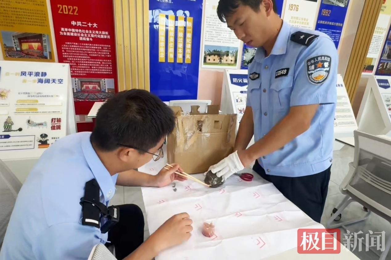 图一 安抚猫头鹰.jpg