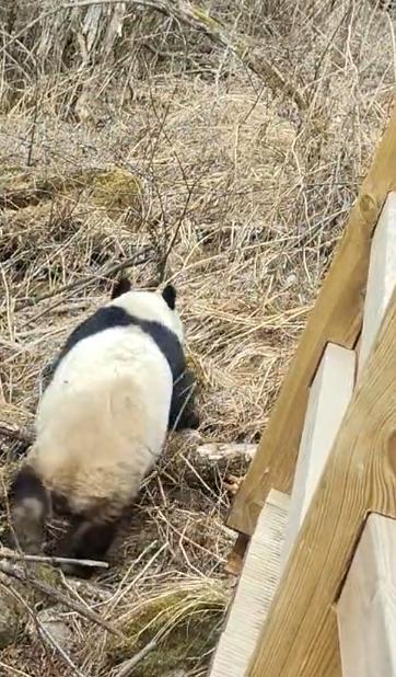 ScreenShot_2026-03-30_101834_174.png ScreenShot_2026-03-30_101834_174.png