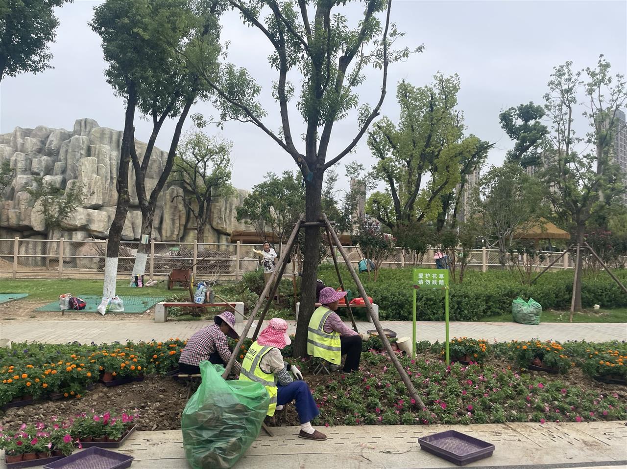 1、武汉动物园园路上栽种鲜花迎接国庆.png