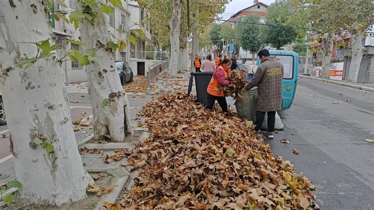 武汉街头，大风扫落叶 陶火应摄.jpg