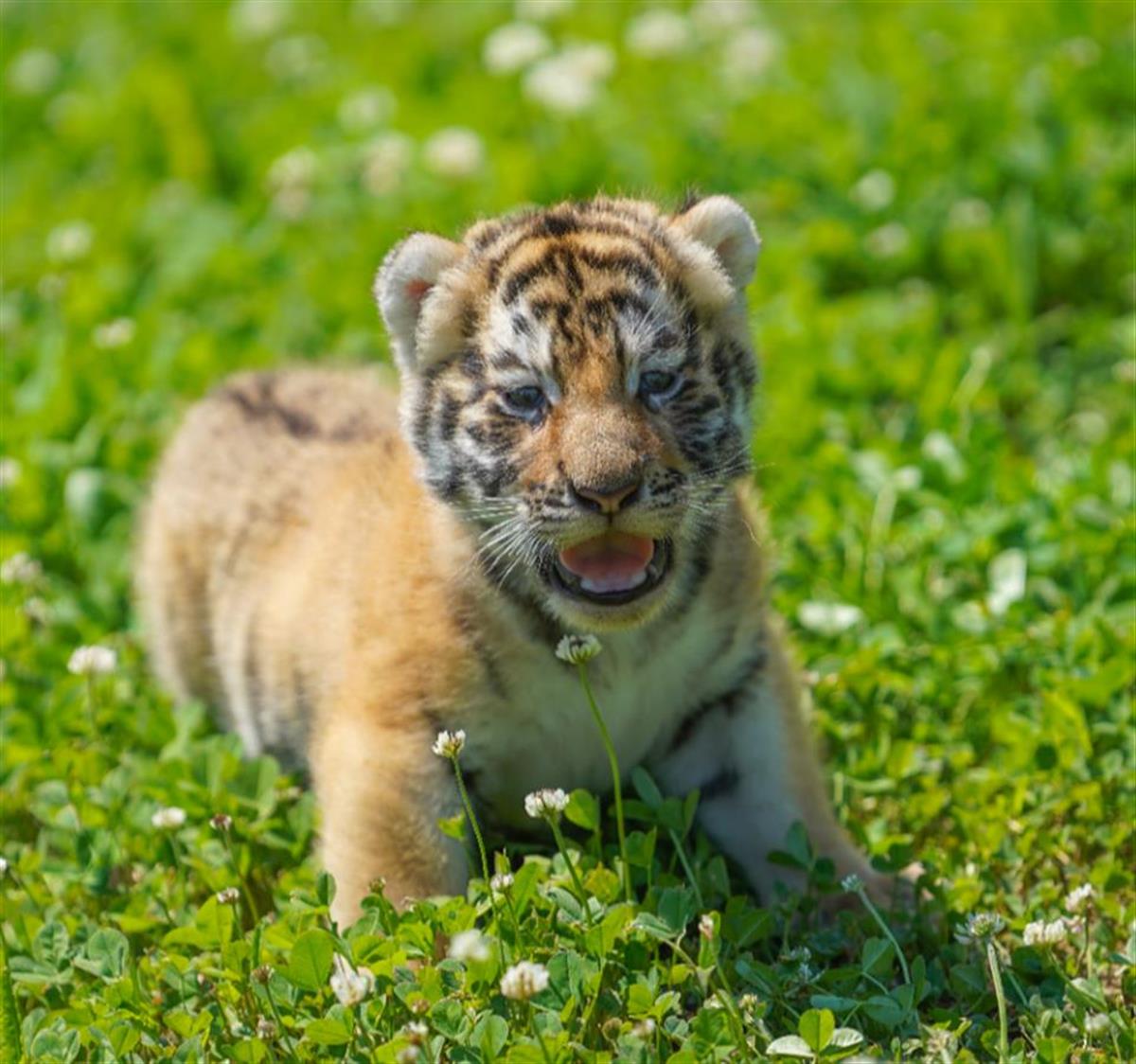 微信图片_20250506093130.png 微信图片_20250506093130.png