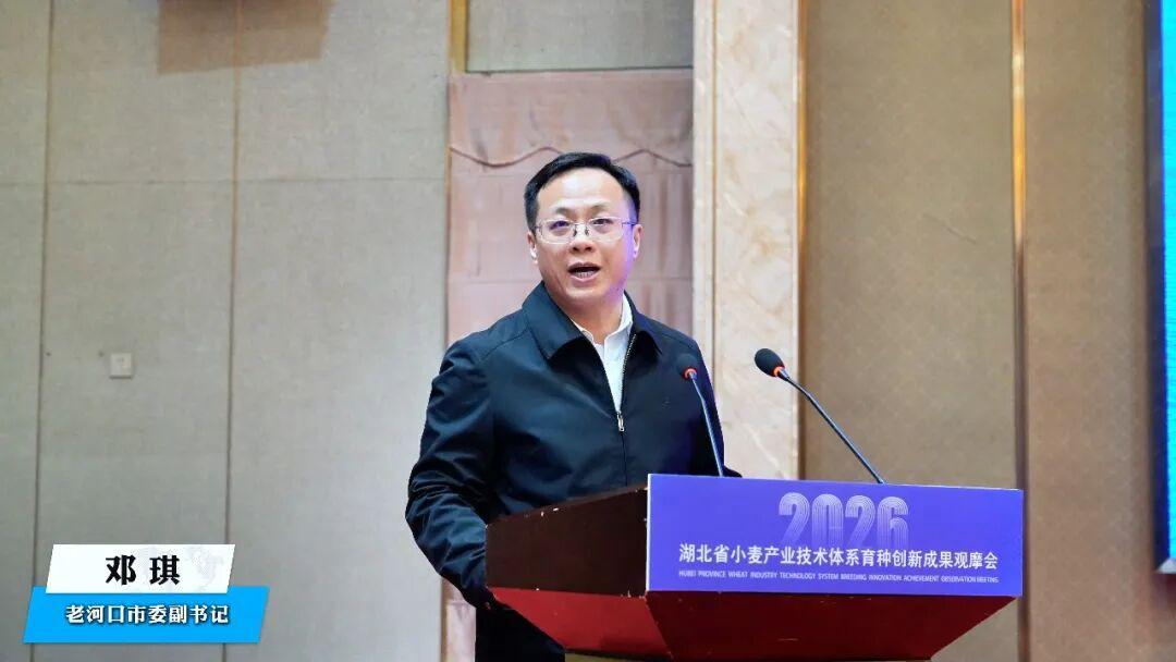 图片8.png 图片8.png