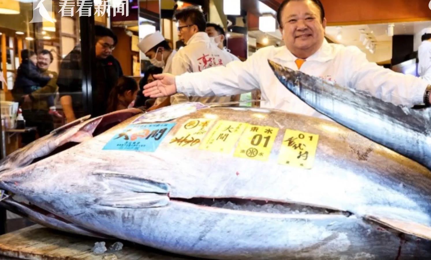 天价蓝鳍金枪鱼拍卖创纪录，价值高达人民币逾两千万元