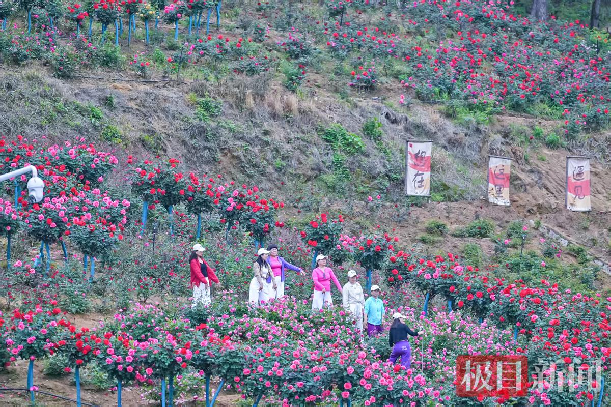 图片21.jpg