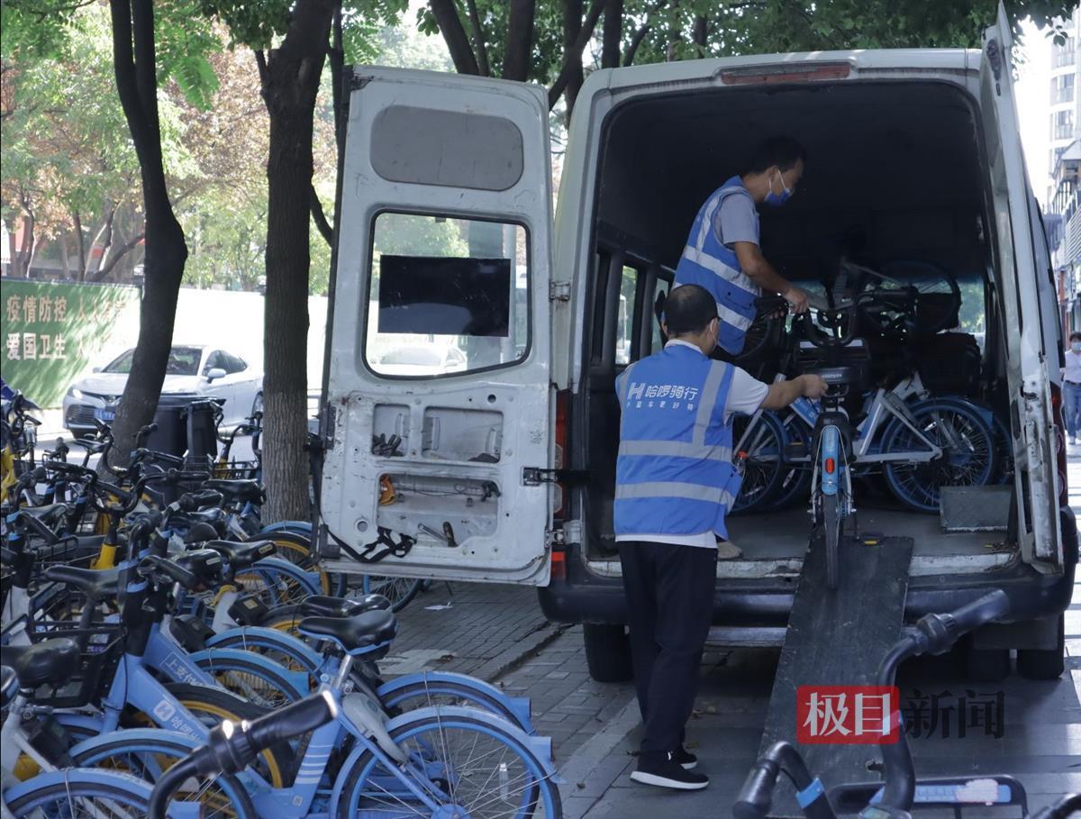 方便市民出行不惧"烤验",极目新闻记者体验共享单车调度员"精准调车"