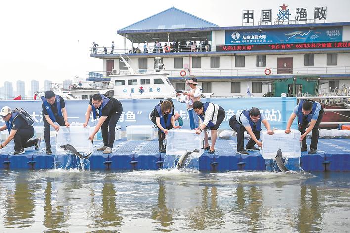 Rare fish released into Yangtze River to mark 9th National Fish ...