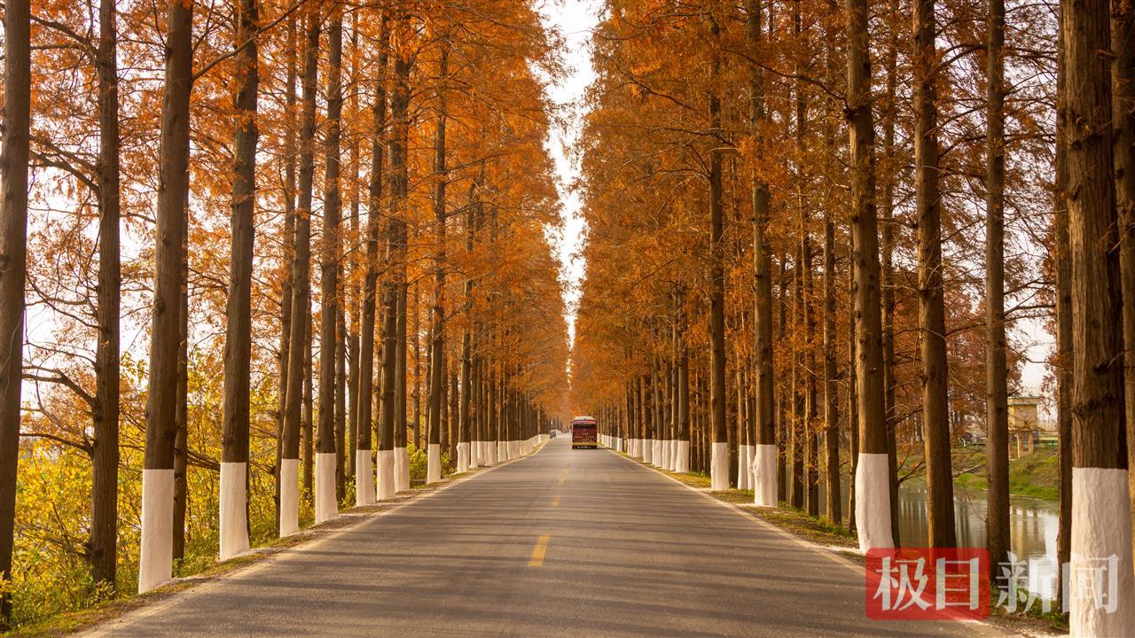 269省道高石碑镇段 (2).jpg