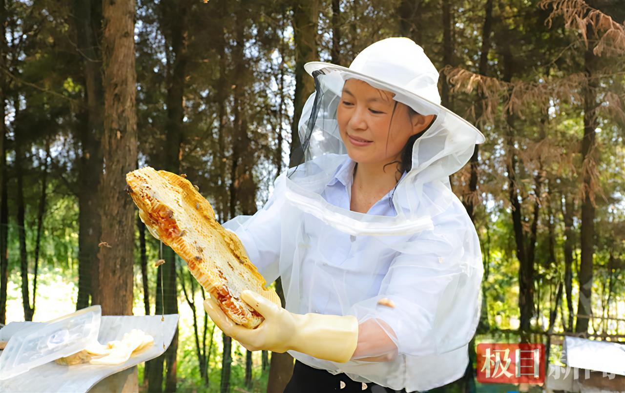 巴东蜂蜜.jpg 巴东蜂蜜.jpg