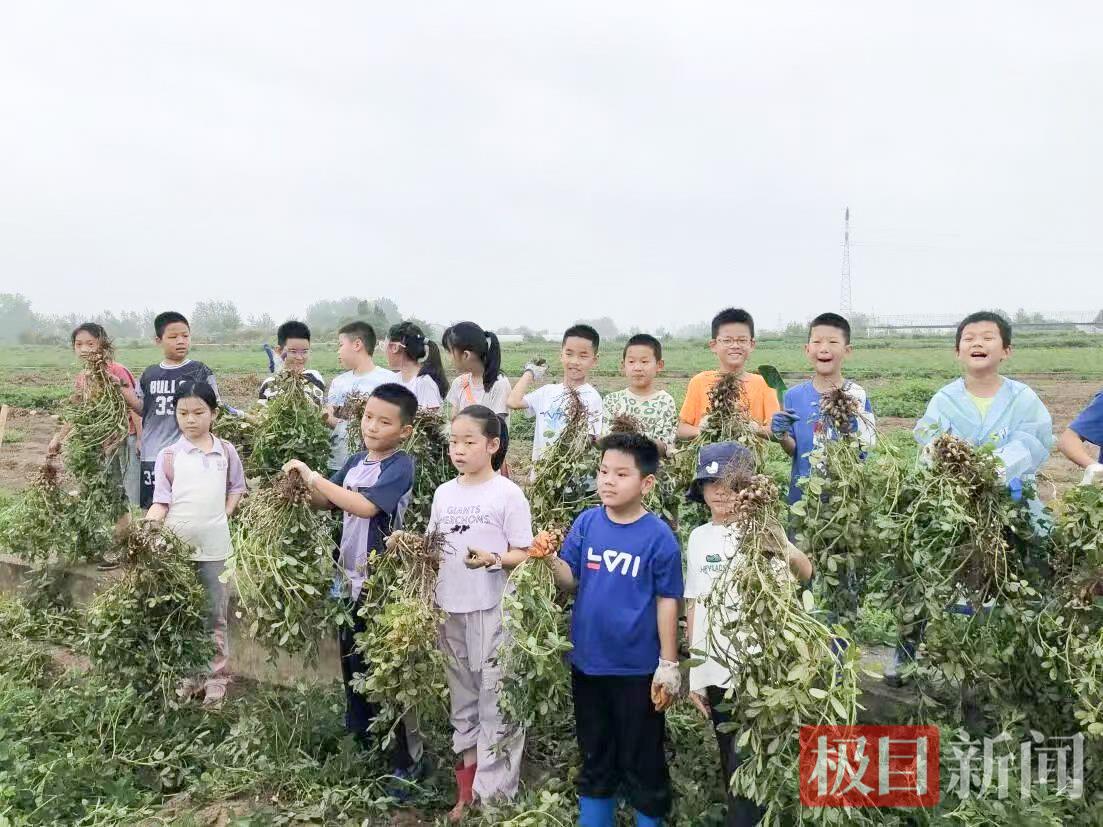图片19.jpg 图片19.jpg