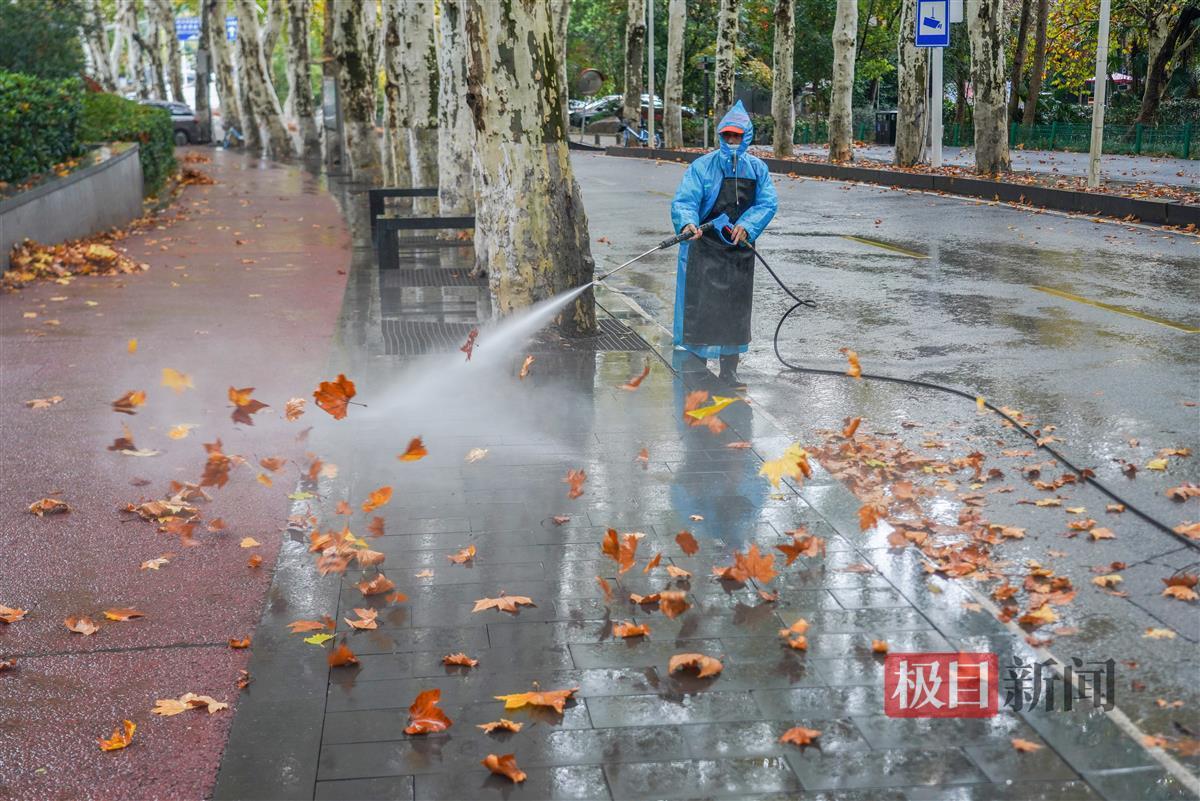 刮风下雨致落叶增多，环卫工清扫忙 | 极目新闻