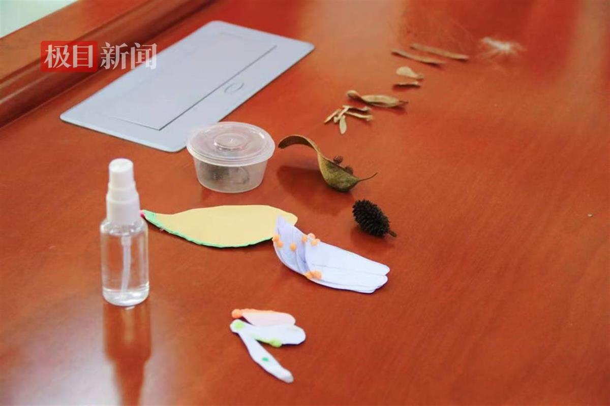 小学有了科学副校长,第一节课教种子的飞行 | 极目新闻