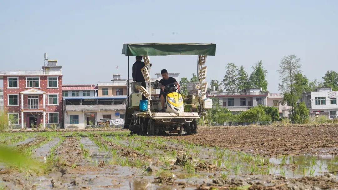 1e39128bf041ecf41d2c745437619516.png 1e39128bf041ecf41d2c745437619516.png