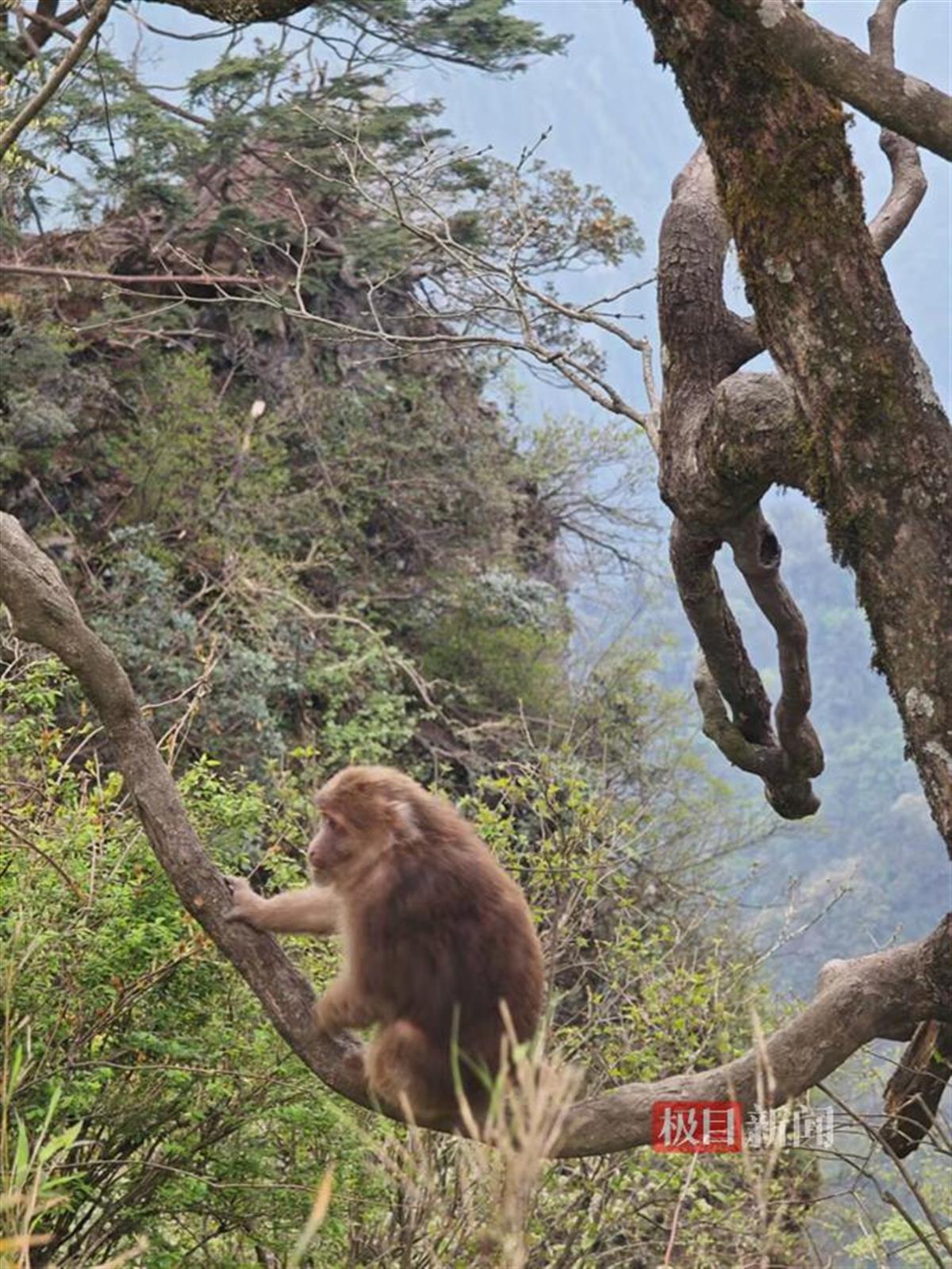 27a2cc61c311953e62cfd62eb28a1960_720.jpg 27a2cc61c311953e62cfd62eb28a1960_720.jpg