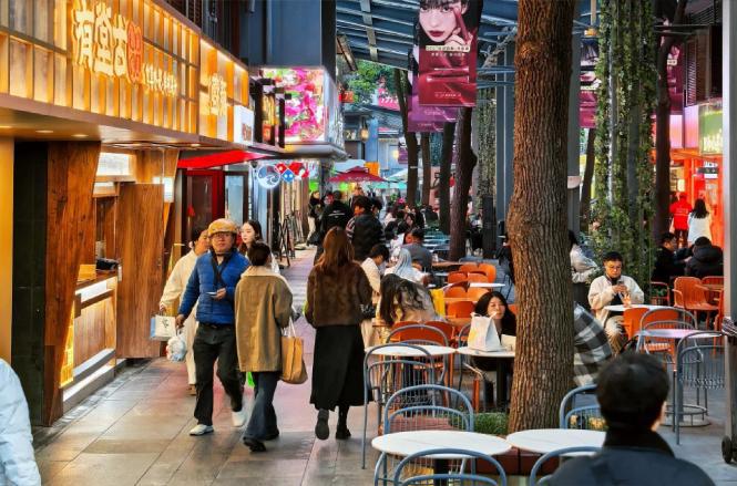 图片1.png 图片1.png