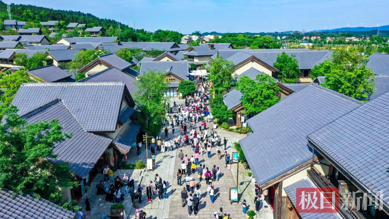 图片10.jpg 图片10.jpg