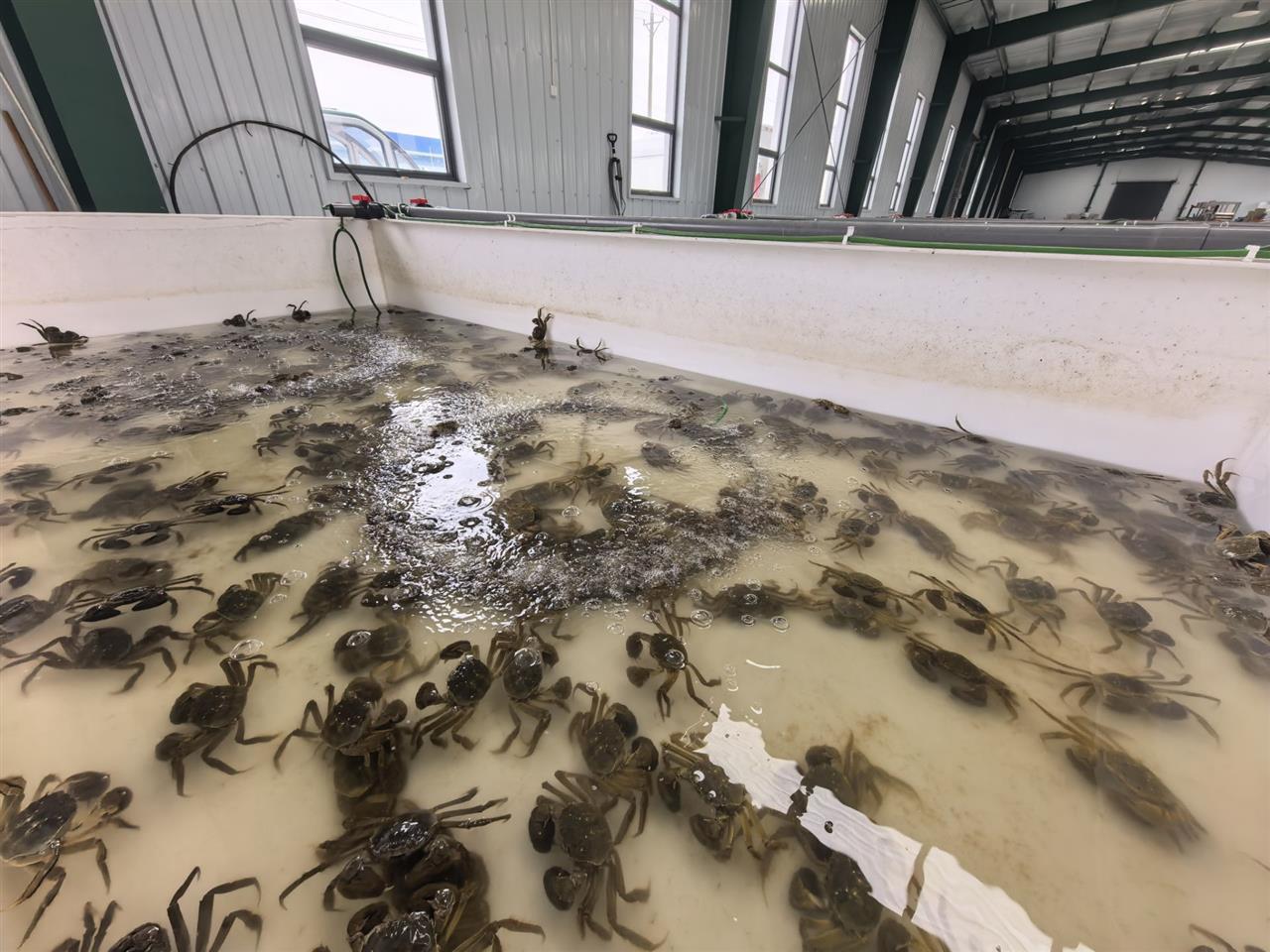 ABF5DD9954382A2D05AB4119AF9DA683.jpg ABF5DD9954382A2D05AB4119AF9DA683.jpg