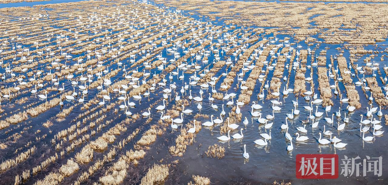 e67c41901616bbb4077e3fa500b93f74.jpg e67c41901616bbb4077e3fa500b93f74.jpg