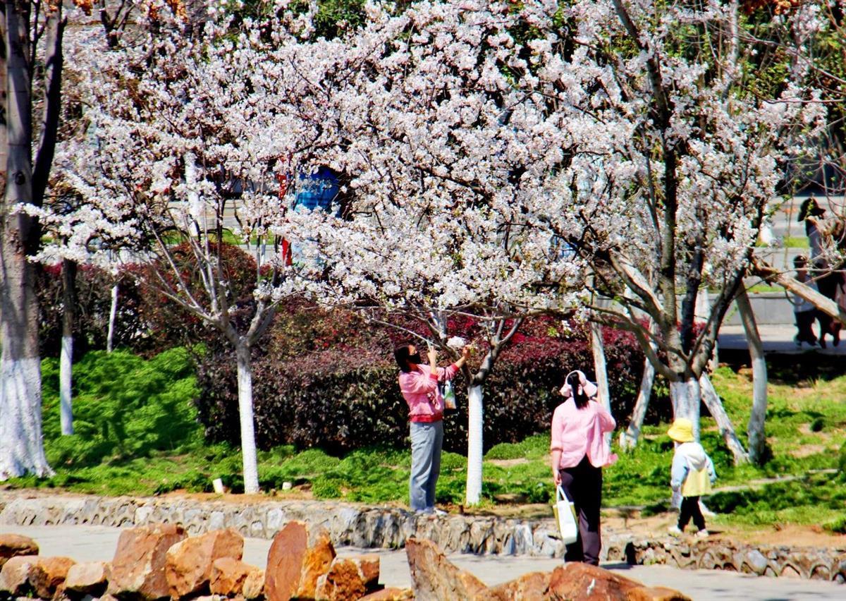 微信图片_20250327165721.jpg 微信图片_20250327165721.jpg