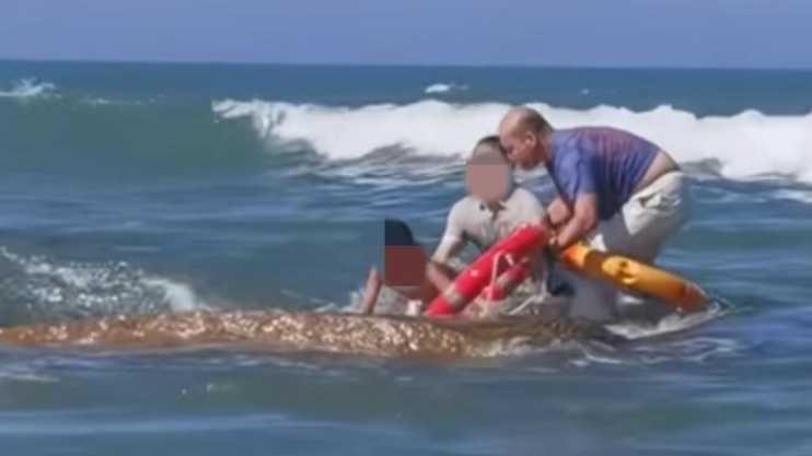 退役军人在福建海边救起被浪卷走的父子？见义勇为协会：将调查极目新闻2