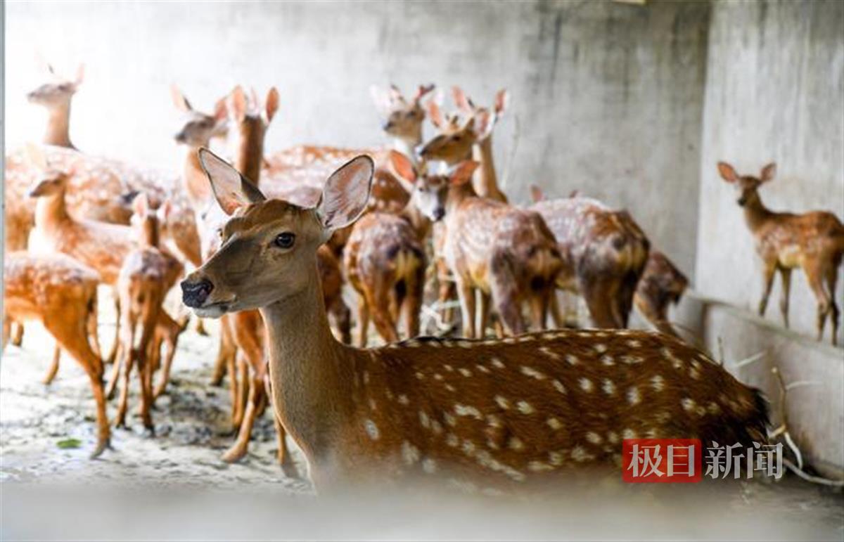 w700d1q75cms (1).jpg