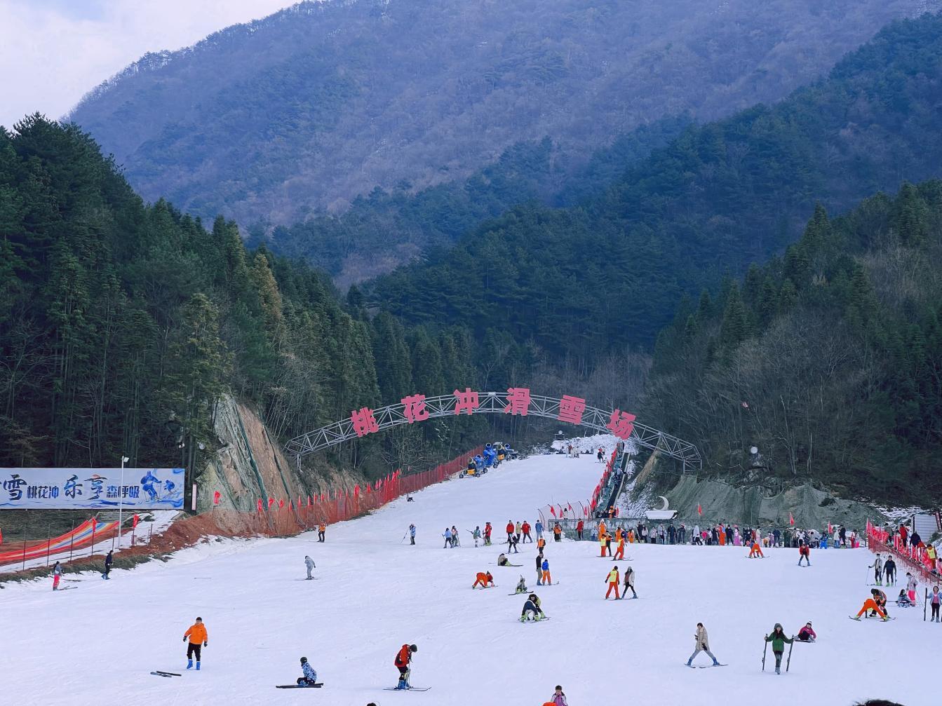 图片7.png 图片7.png