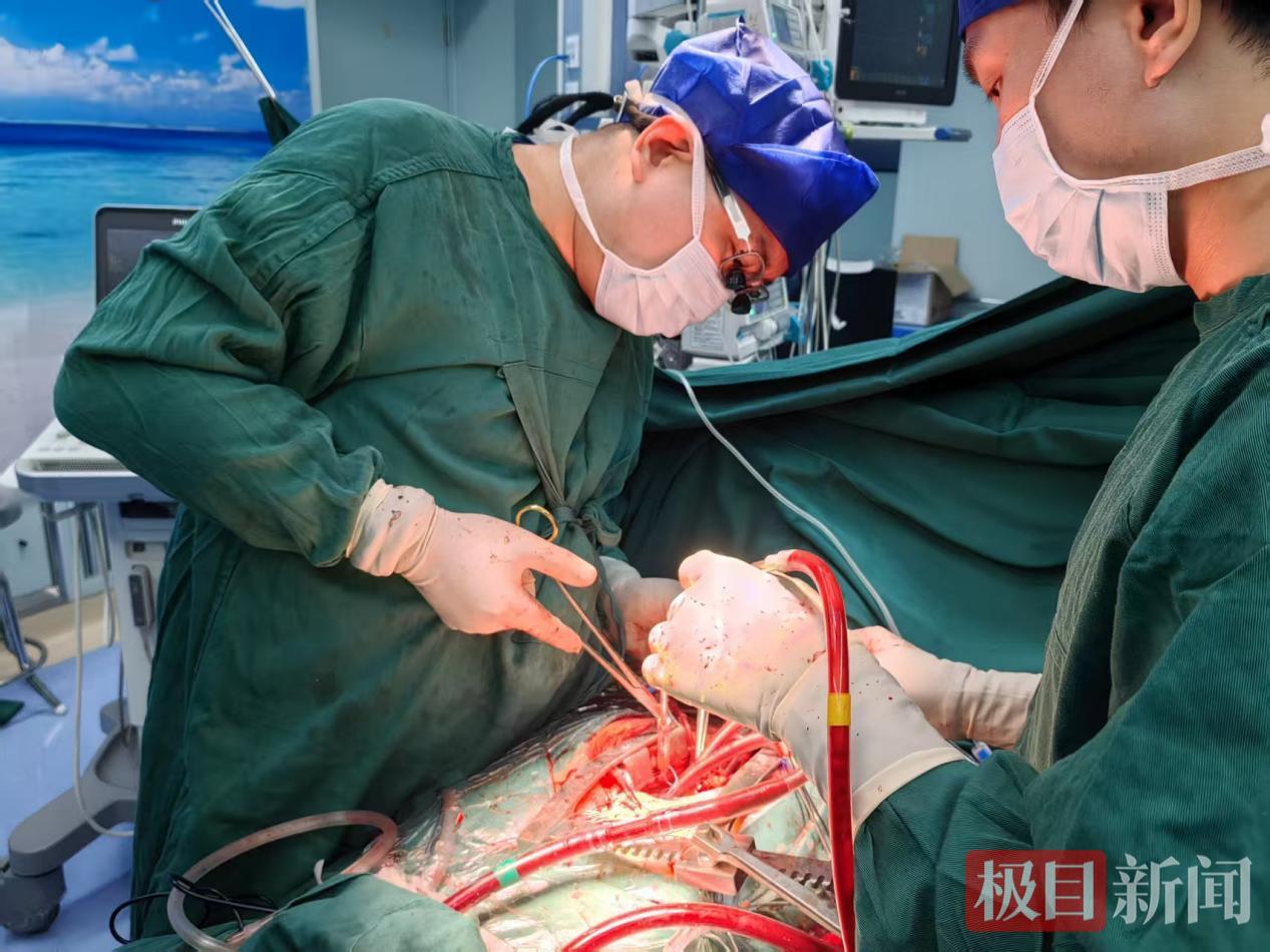 图片2.jpg 图片2.jpg