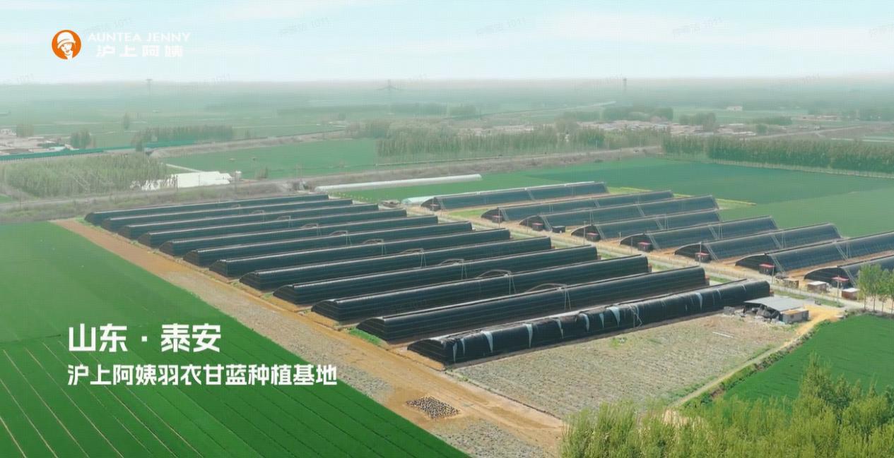 沪上2.png 沪上2.png