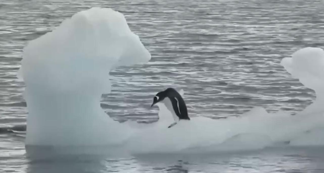 QQ_1781422477910.png