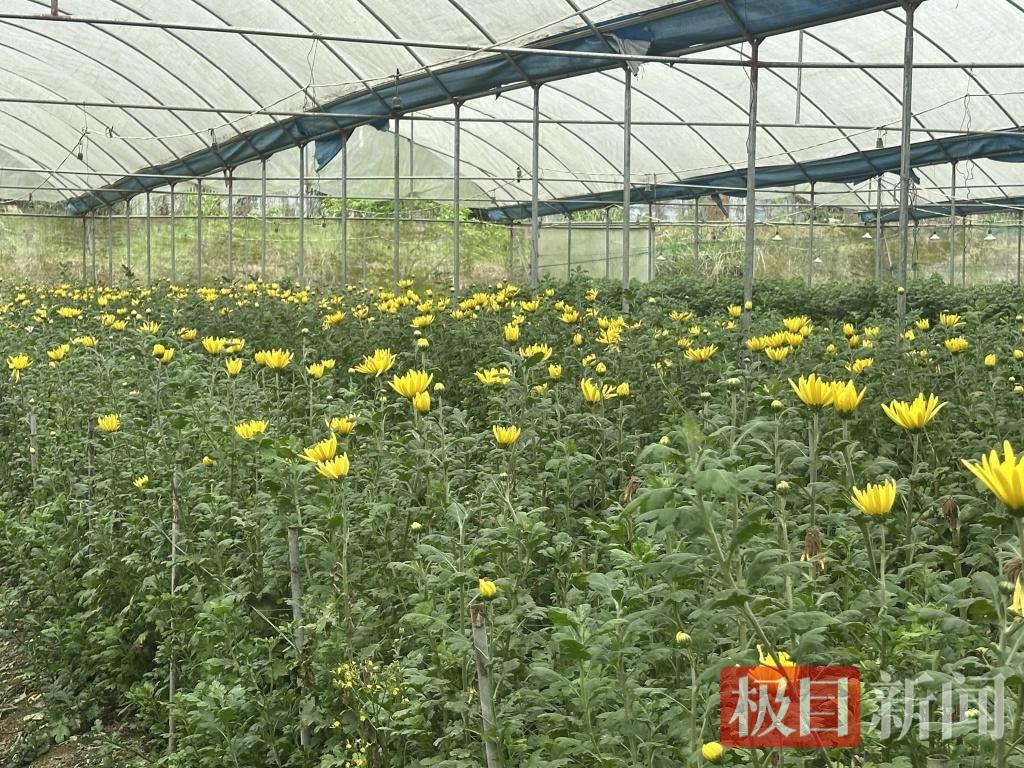 微信图片_20260427114551_67_52.png