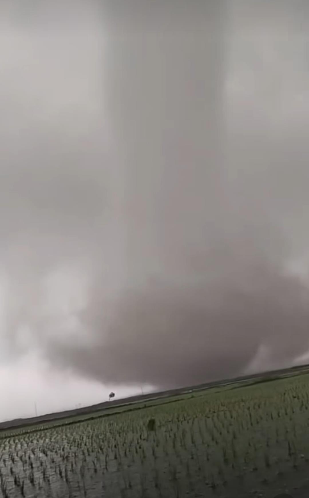 微信图片_20250603111315.jpg 微信图片_20250603111315.jpg