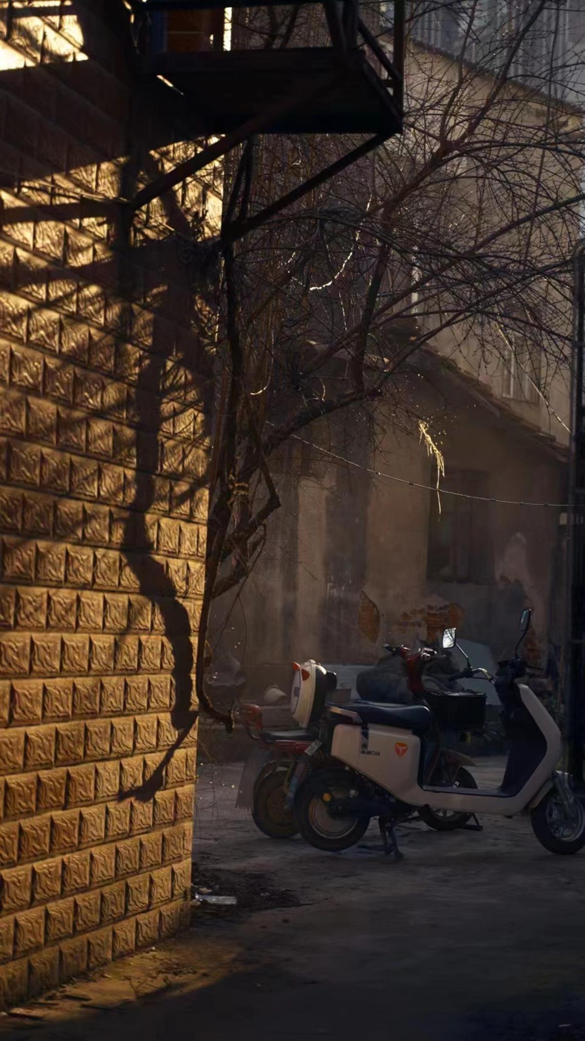 镜头对准城市角落的摄影师:武汉的"肌理"藏着这座城的精气神 | 极目