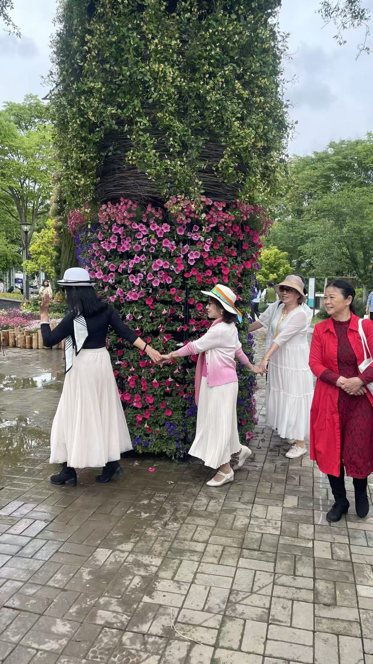 矮牵牛陪你们转起来.jpg