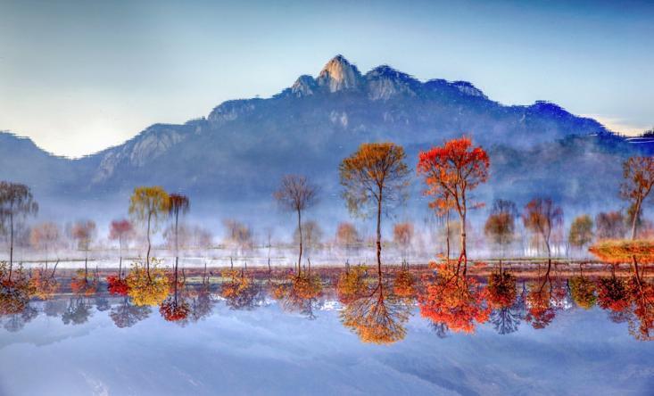 图片6.png 图片6.png