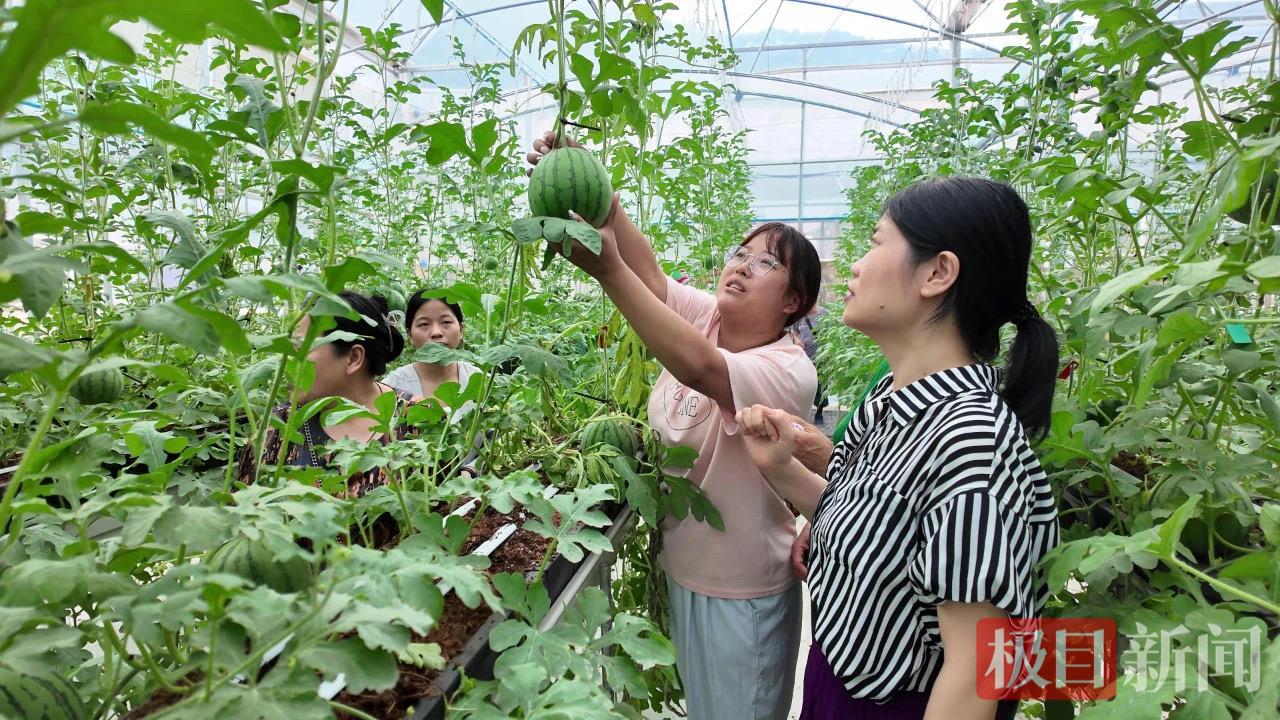 郧西绿谷1.jpg