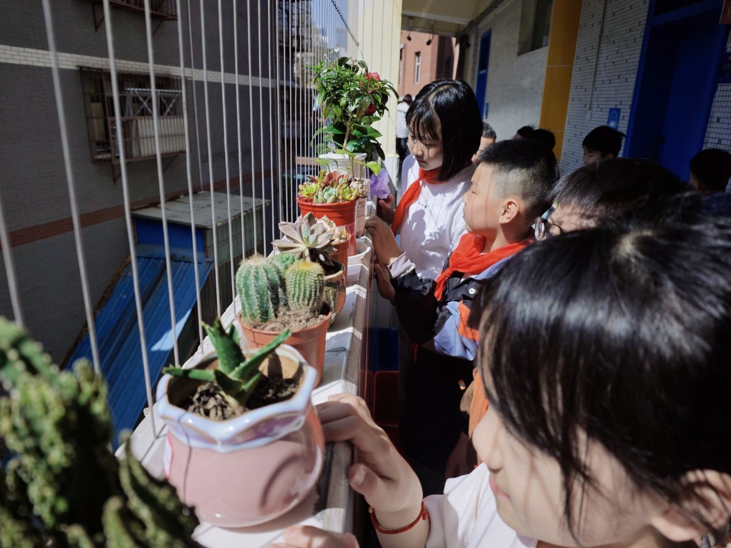 aaa96f9abce568ab6dad019491697897.jpg aaa96f9abce568ab6dad019491697897.jpg