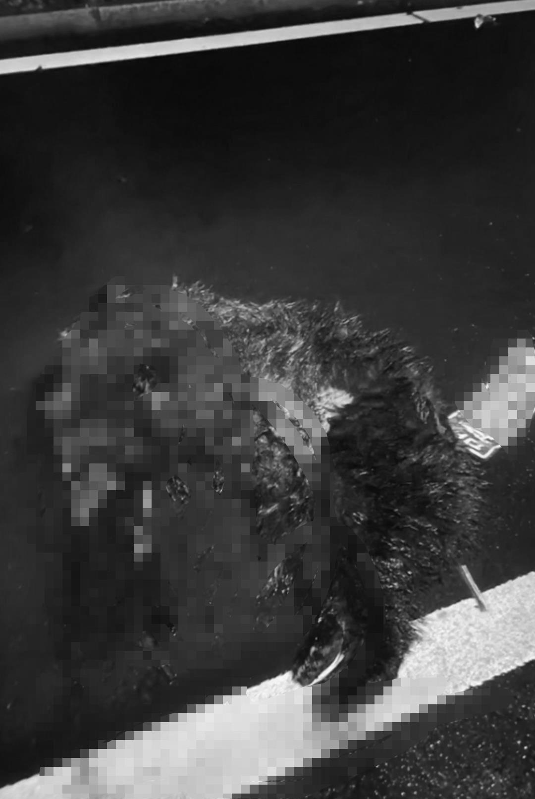 pub_cb202511021254598084244gpj_副本.jpg pub_cb202511021254598084244gpj_副本.jpg