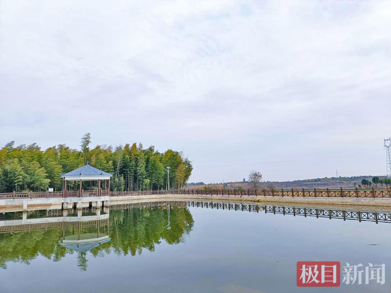 图片12.jpg 图片12.jpg