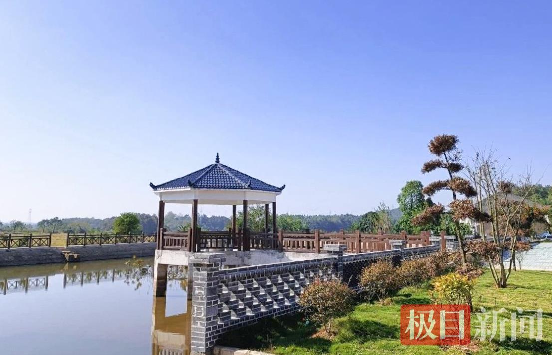 图片13.jpg 图片13.jpg