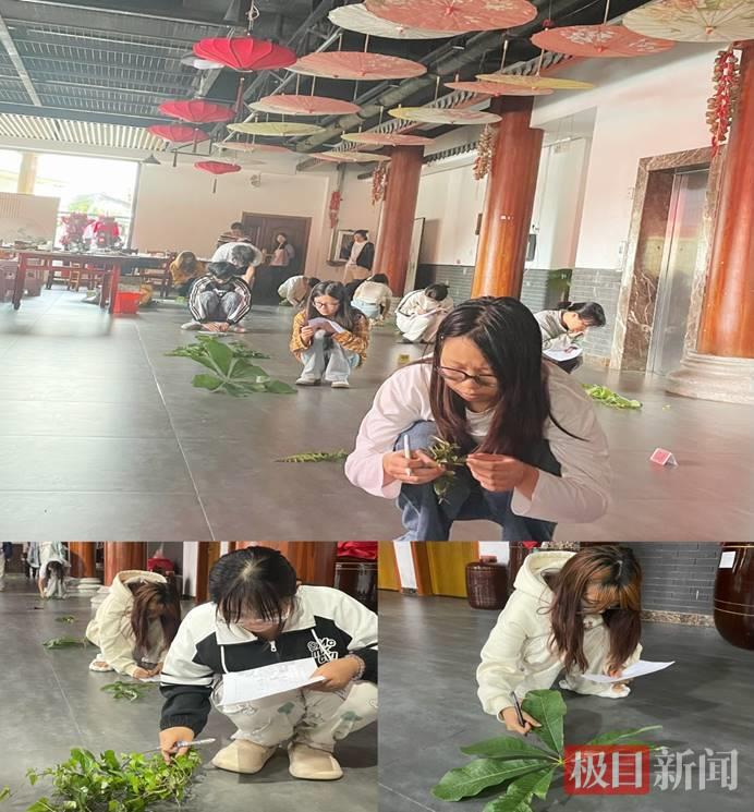 学生进行药用植物鉴定实践考核.jpeg