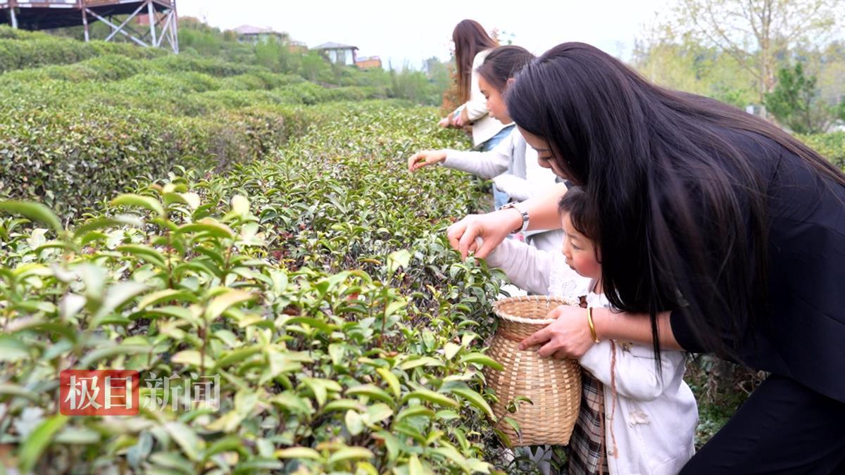 图片2.png 图片2.png