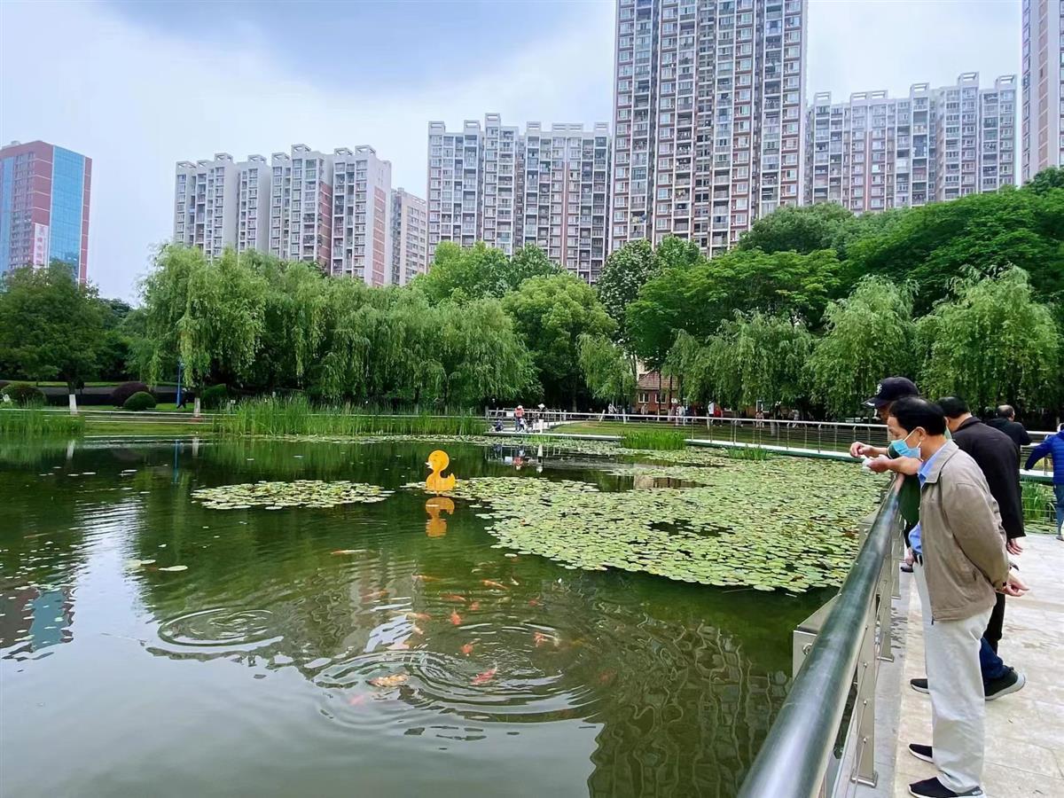 武汉洪山关山公园添新景,市民亲水更安全 | 极目新闻